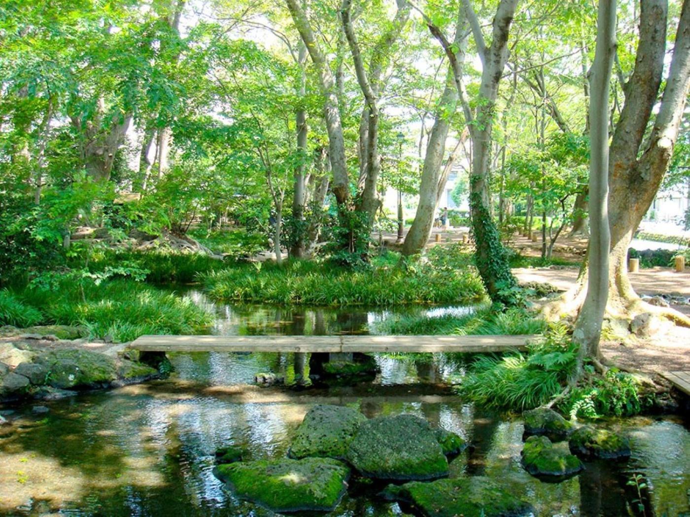 Guesthouse Giwa - Vacation Stay 14269V Mishima  Esterno foto