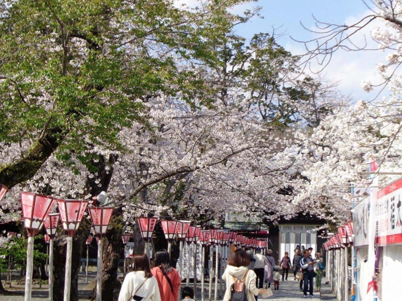 Guesthouse Giwa - Vacation Stay 14269V Mishima  Esterno foto